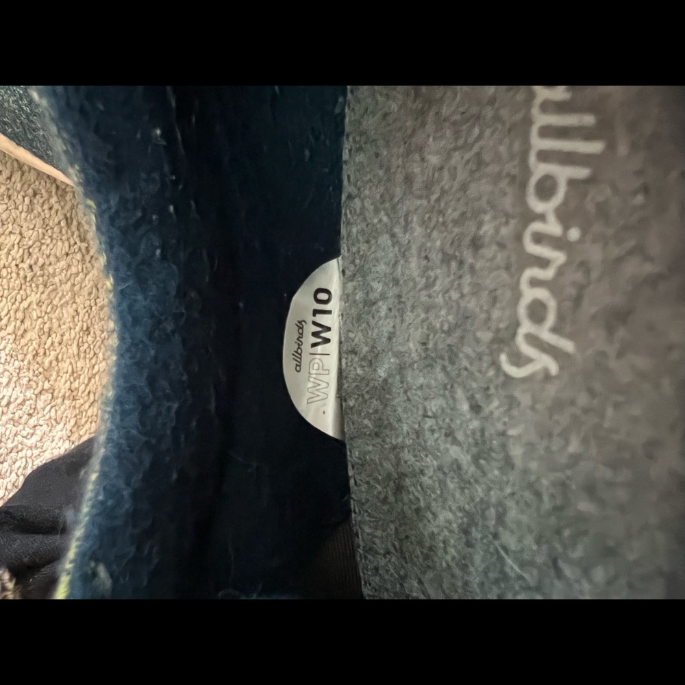 Allbirds Tree Pipers View 6